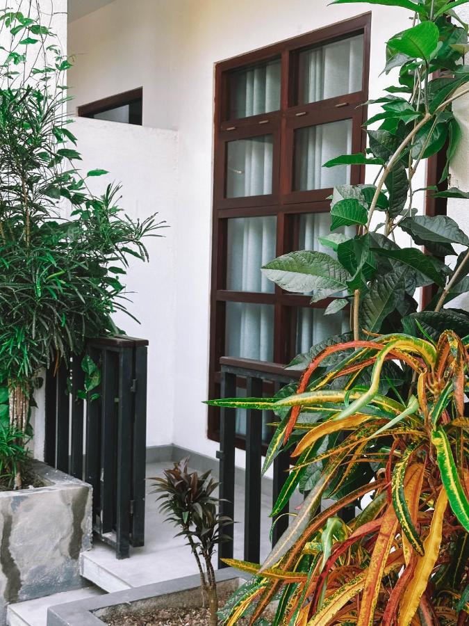 Uralsurf House Hotell Weligama Eksteriør bilde