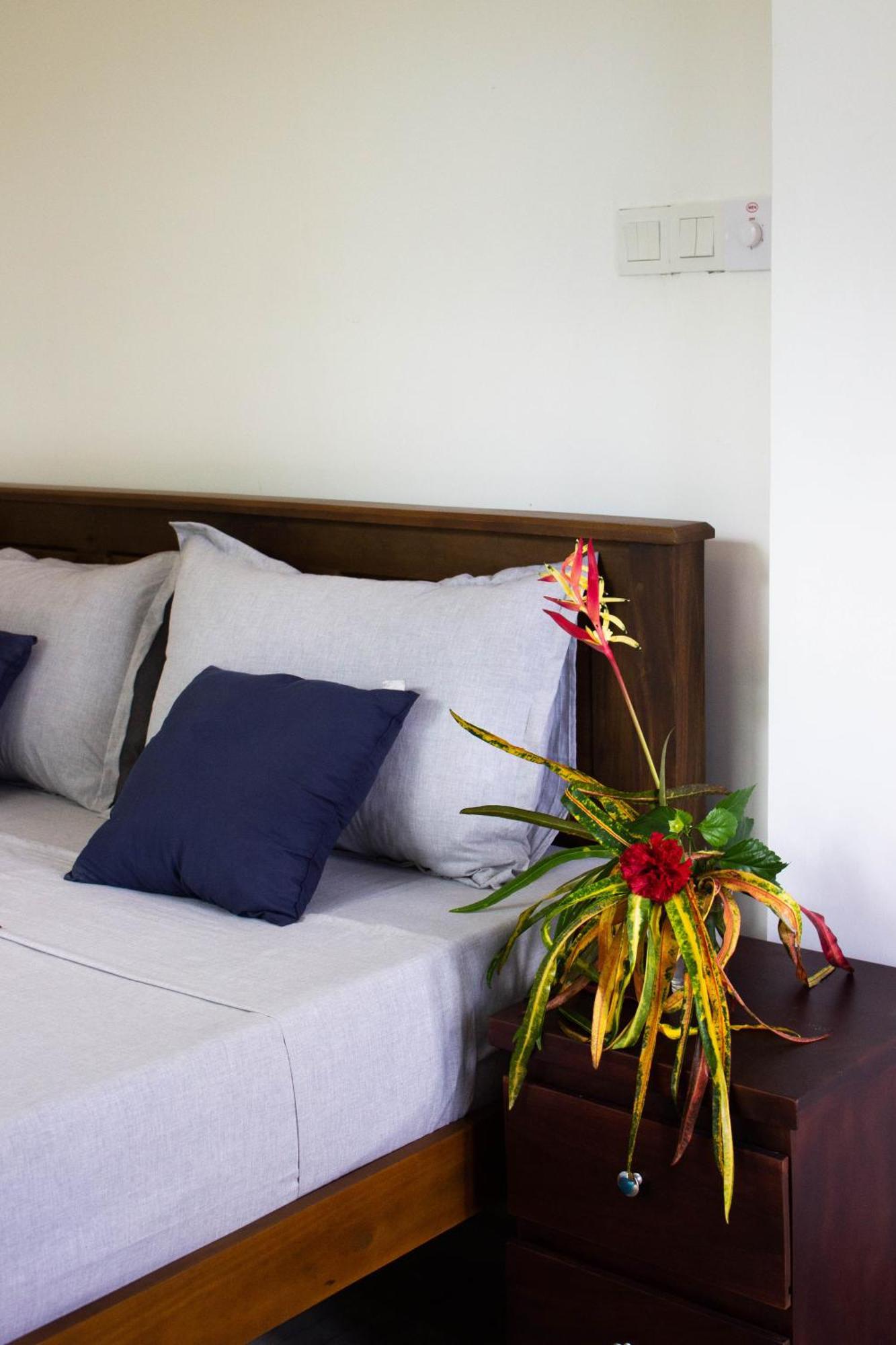 Uralsurf House Hotell Weligama Eksteriør bilde