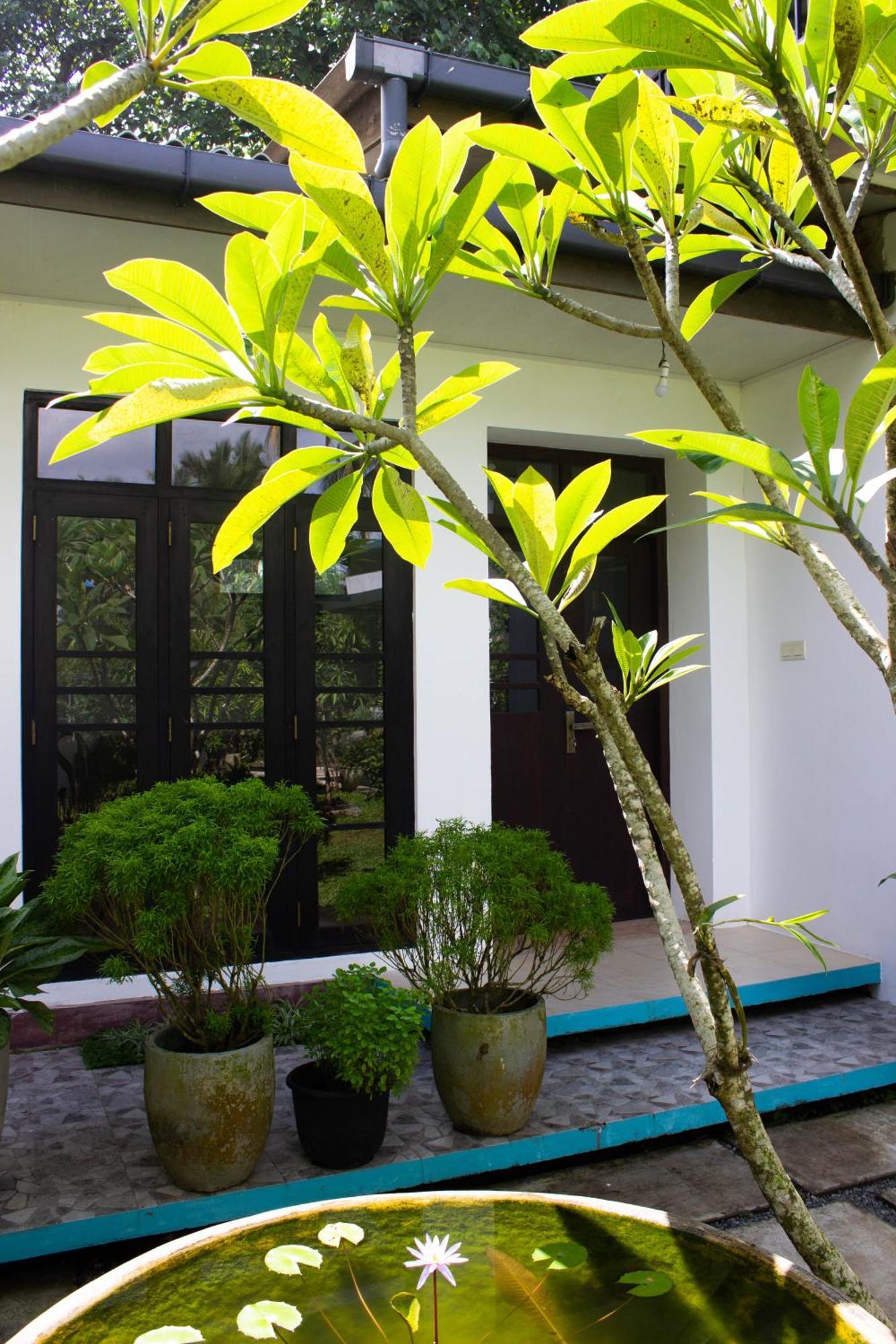 Uralsurf House Hotell Weligama Eksteriør bilde