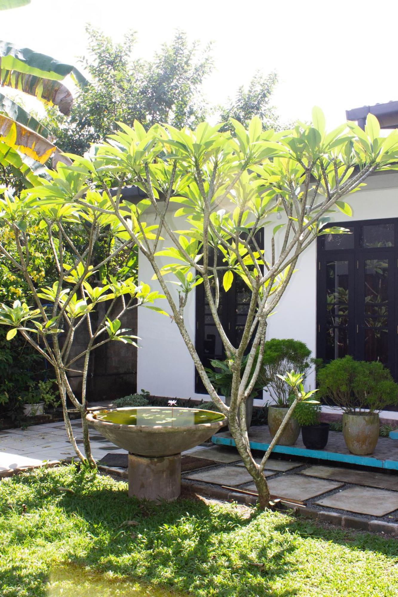 Uralsurf House Hotell Weligama Eksteriør bilde